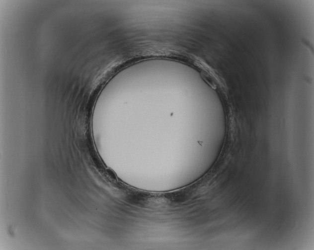 X0000099400203200805221903