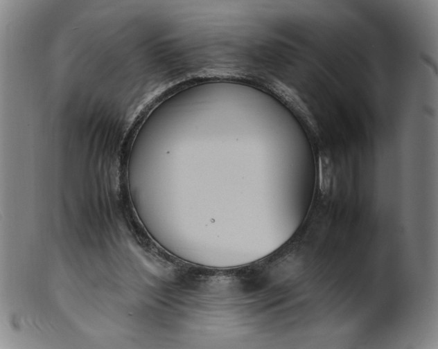 X0000099400204200805221903