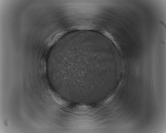 X0000099400205200805221903