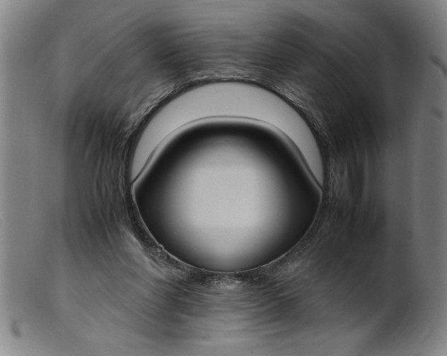 X0000099400206200805221903