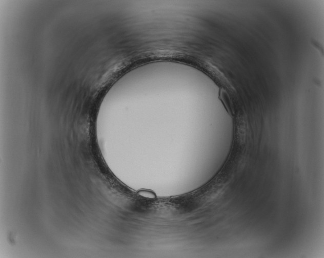 X0000099400207200805221903