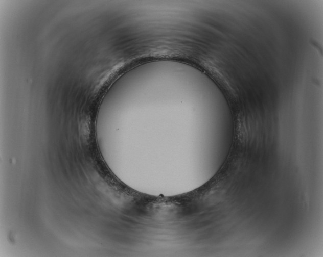 X0000099400208200805221903