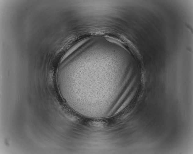 X0000099400209200805221903