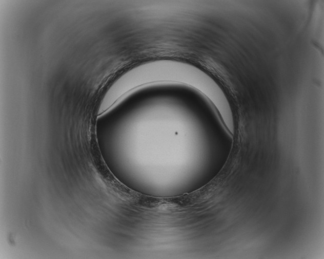 X0000099400210200805221903