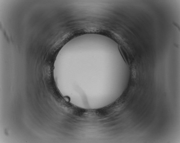 X0000099400211200805221903