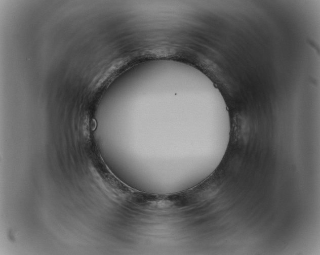 X0000099400212200805221903