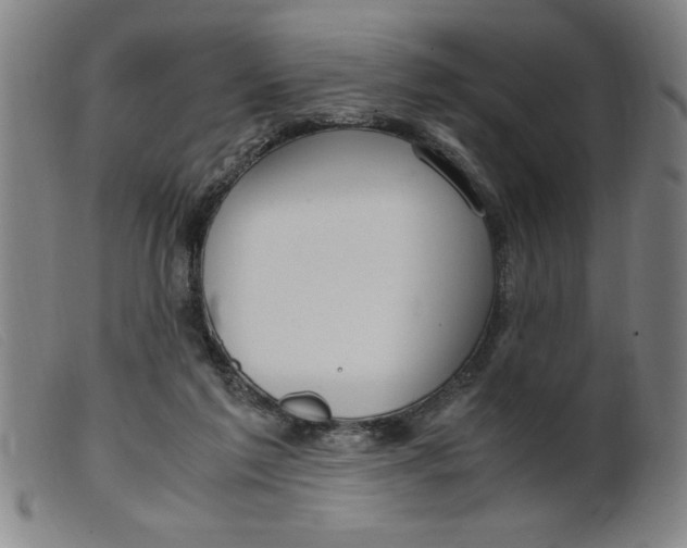 X0000099400213200805221903