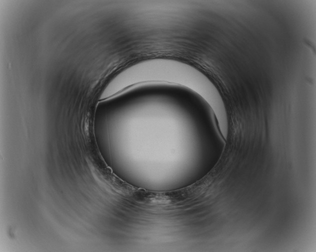 X0000099400214200805221903