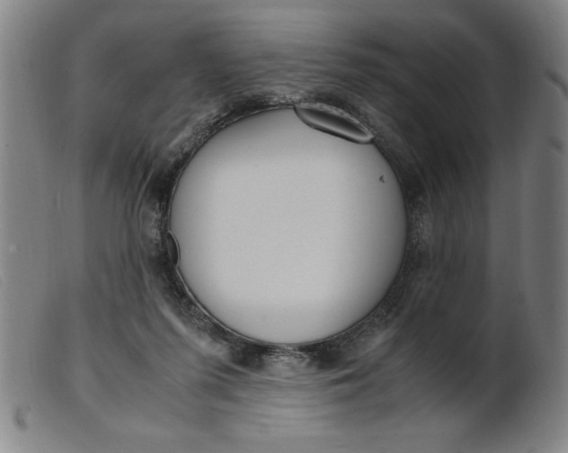 X0000099400215200805221903