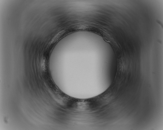 X0000099400216200805221903