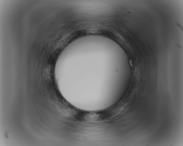 X0000099400217200805221903