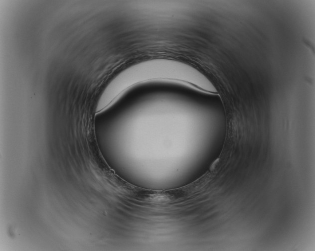 X0000099400218200805221903