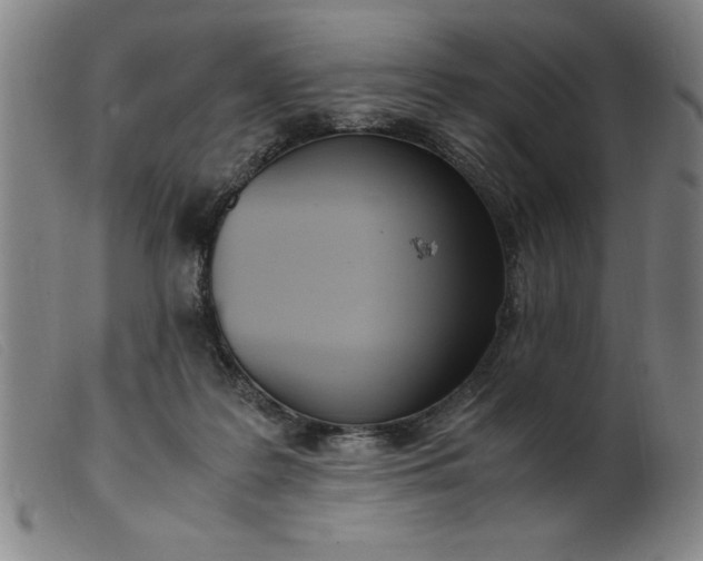 X0000099400219200805221903