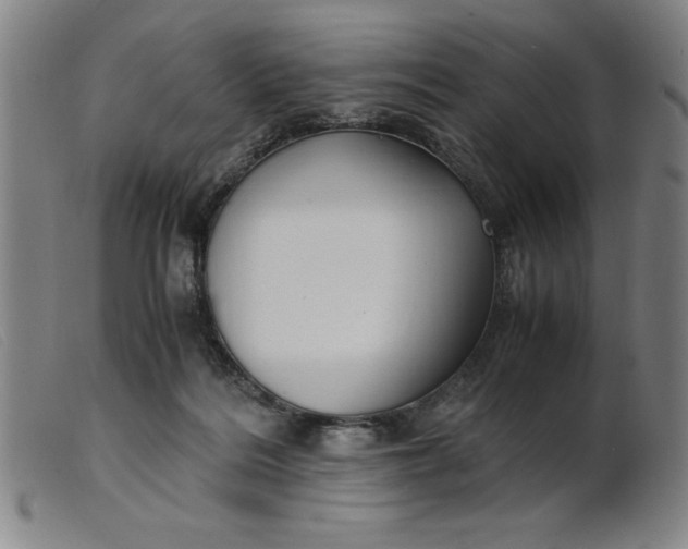 X0000099400220200805221903