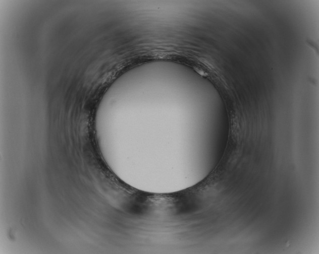 X0000099400221200805221903