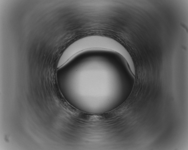 X0000099400222200805221903