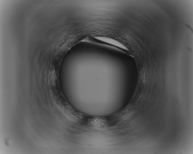 X0000099400223200805221903