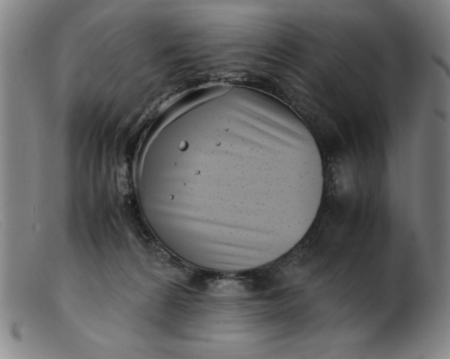 X0000099400224200805221903