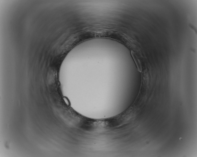 X0000099400225200805221903