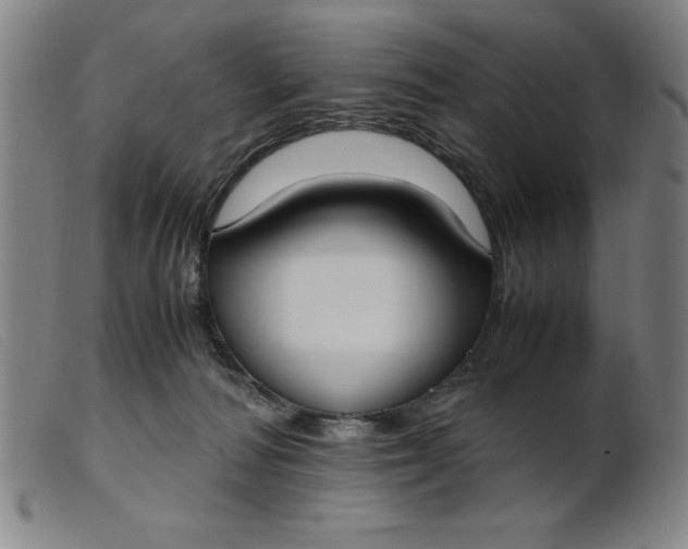 X0000099400226200805221903