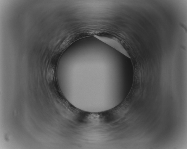 X0000099400227200805221903