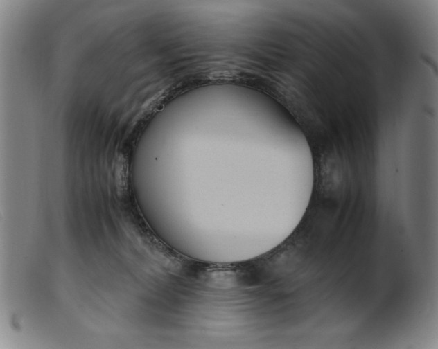 X0000099400228200805221903