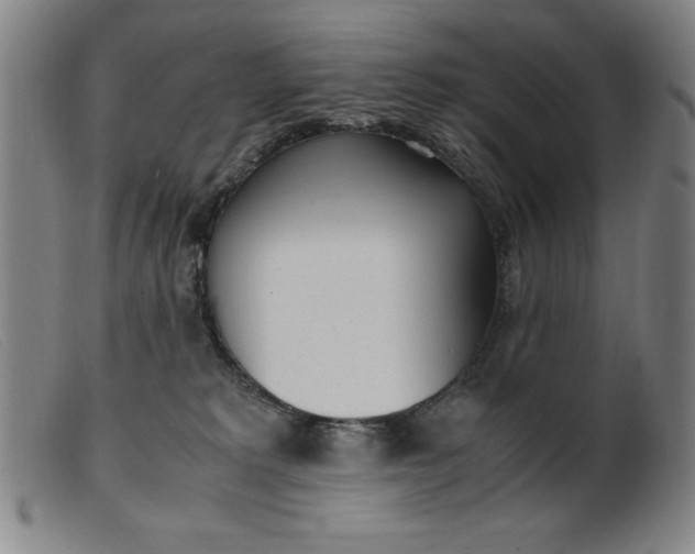 X0000099400229200805221903