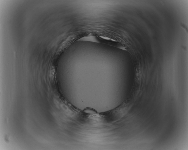 X0000099400231200805221903