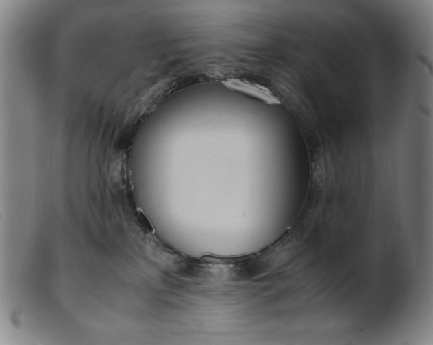 X0000099400233200805221903