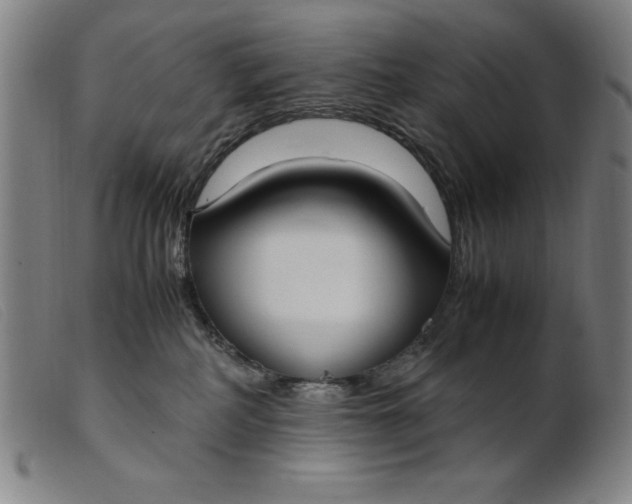 X0000099400234200805221903