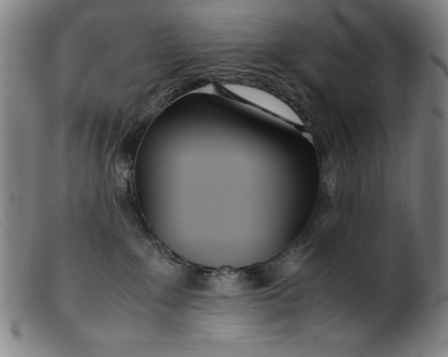 X0000099400235200805221903