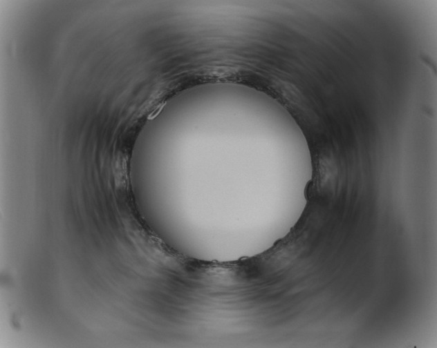 X0000099400236200805221903