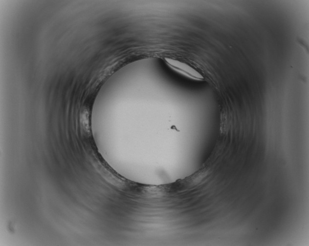 X0000099400238200805221903