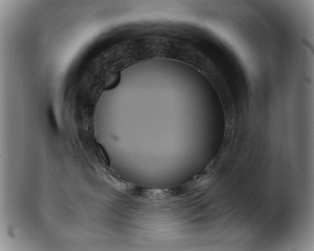 X0000099400239200805221903