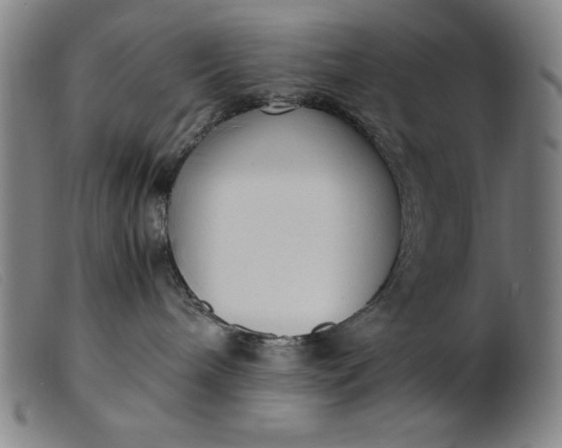 X0000099400240200805221903