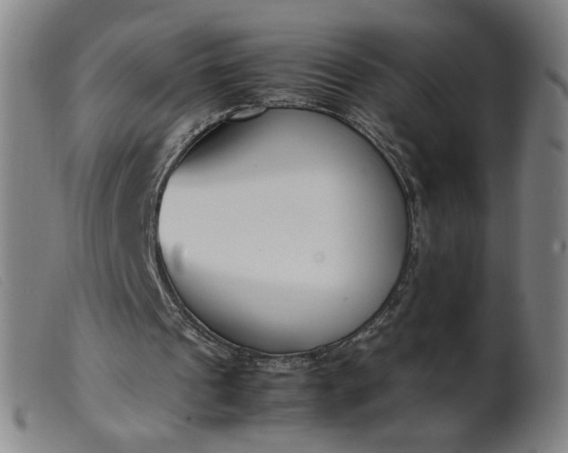 X0000099400241200805221902