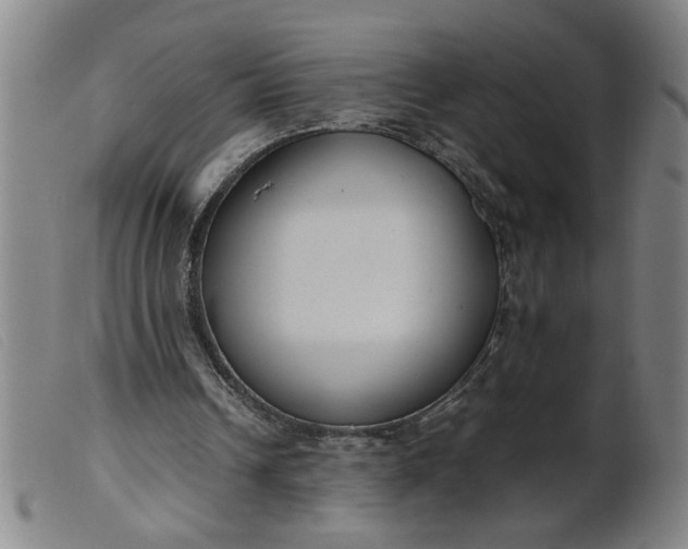 X0000099400242200805221902