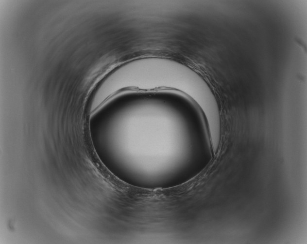 X0000099400243200805221902