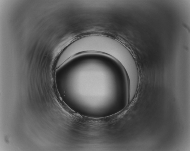 X0000099400245200805221902