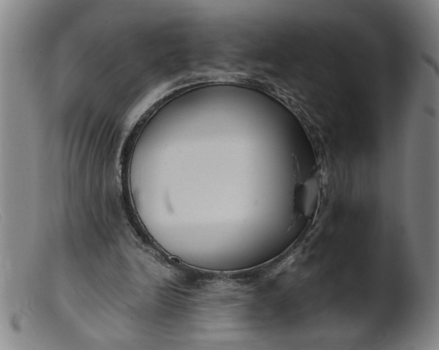 X0000099400246200805221902