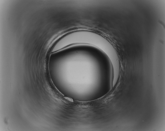 X0000099400247200805221902