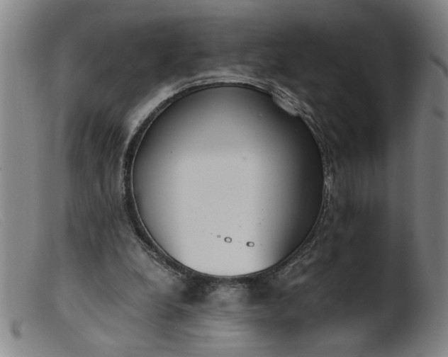 X0000099400248200805221902