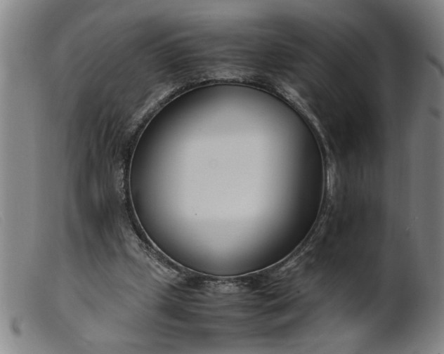 X0000099400249200805221902