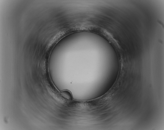 X0000099400250200805221902