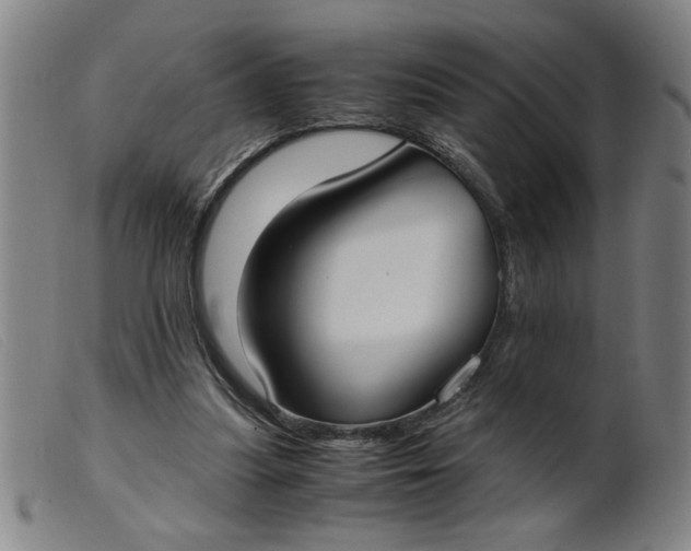 X0000099400251200805221902