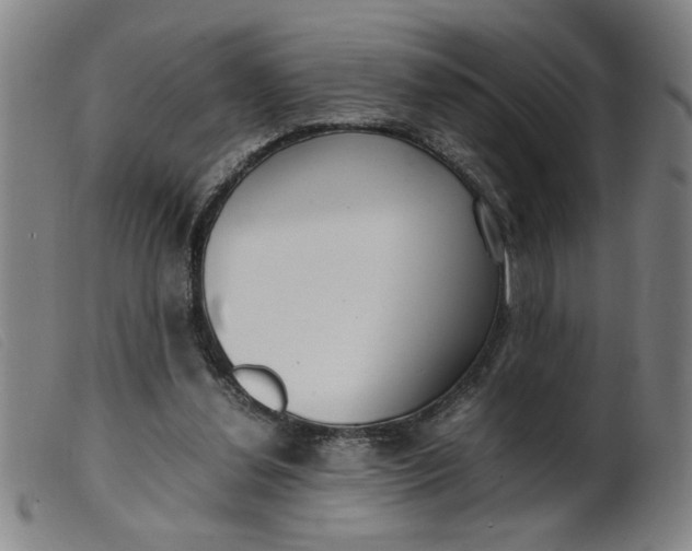 X0000099400252200805221902