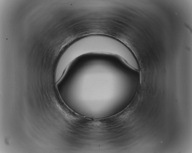 X0000099400253200805221902