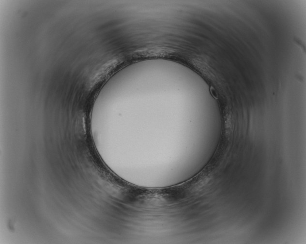 X0000099400254200805221902