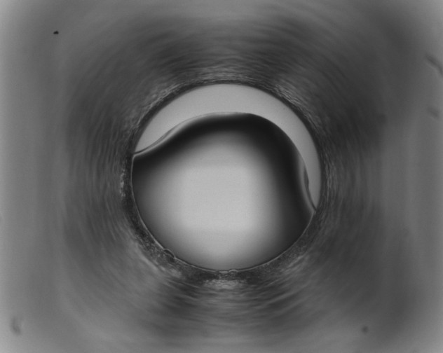 X0000099400255200805221902