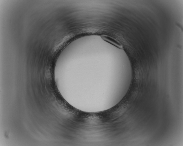 X0000099400256200805221902